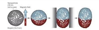 Magnets in Motion: The New Law Of Attraction in Science