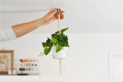 How Magnetic Plant Hooks Work?